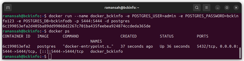 docker run